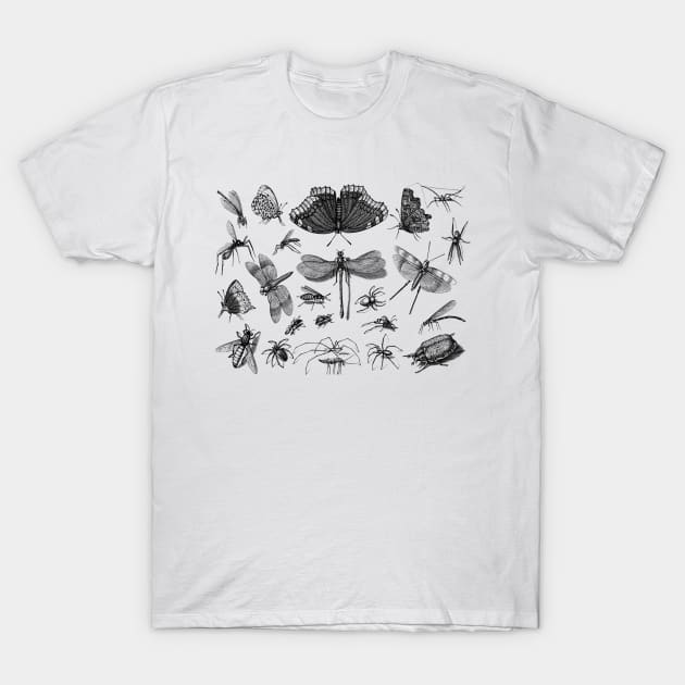 Insect Collected T-Shirt by ZyDesign